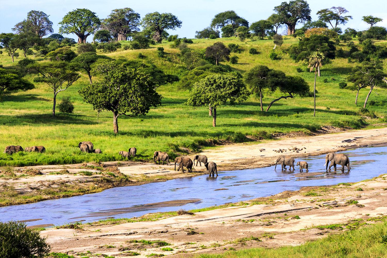 2 Days of Wildlife Encounters: Tarangire and Ngorongoro