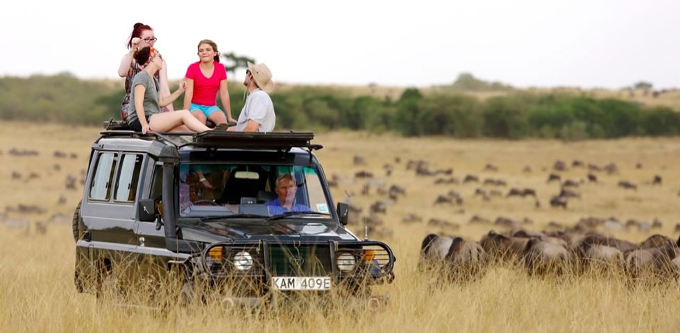 WHY CONSIDER TAKING A GROUP TOUR IN TANZANIA & AFRICA