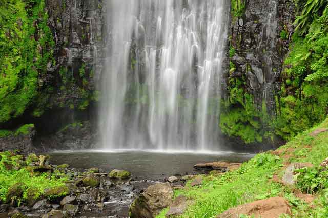 Coffee Tours, Materuni Waterfalls