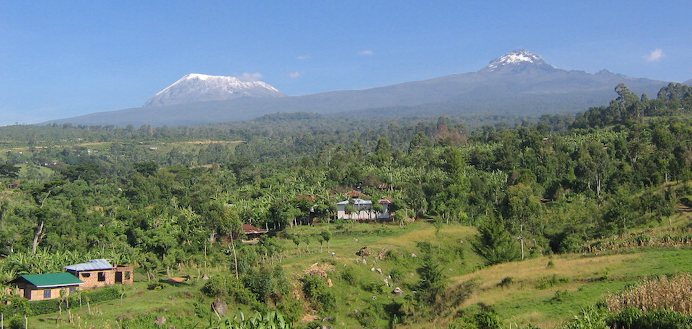 Kilimanjaro Day Hike - Marangu Route