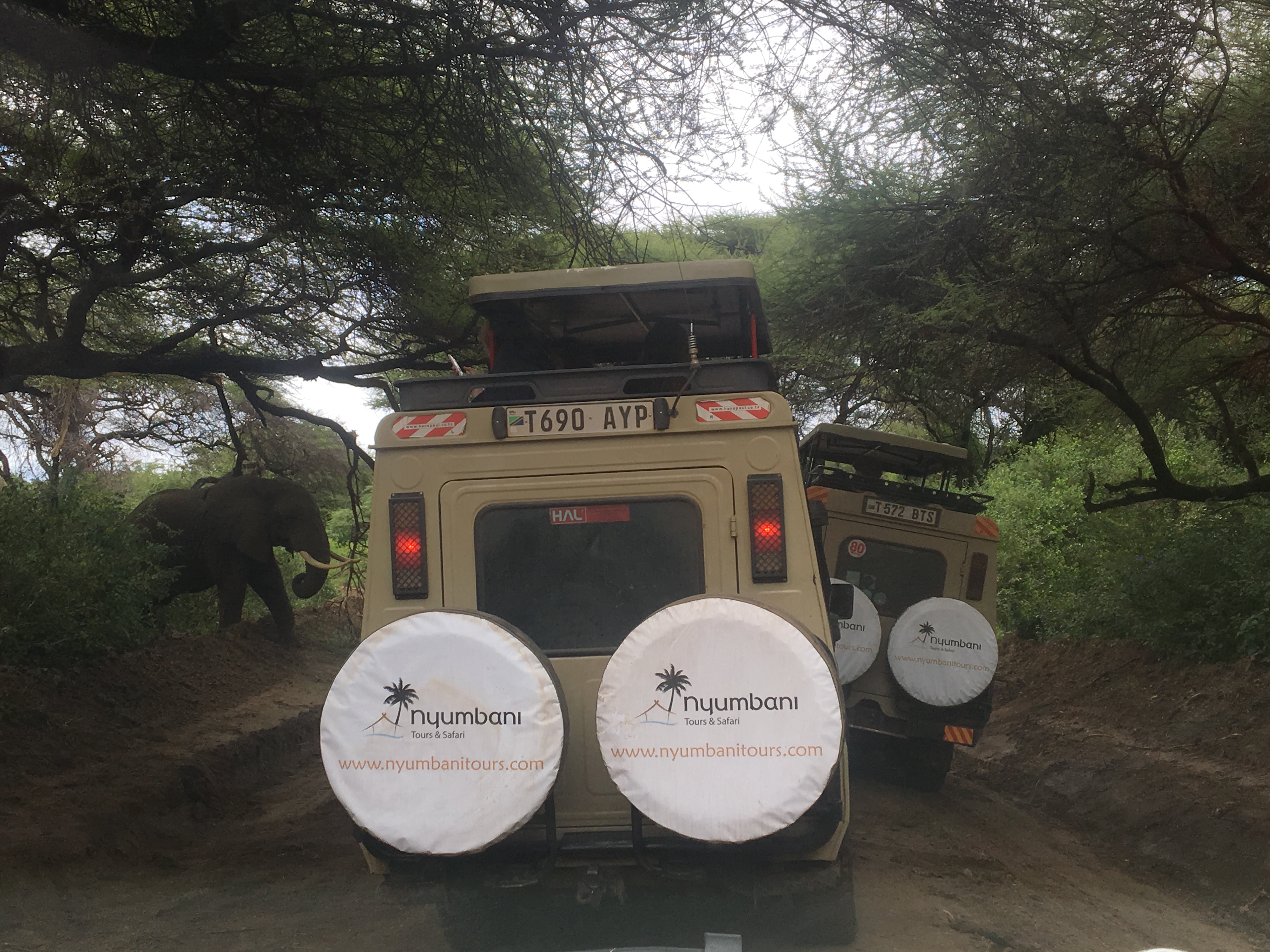 Serengeti Fly-In Safari