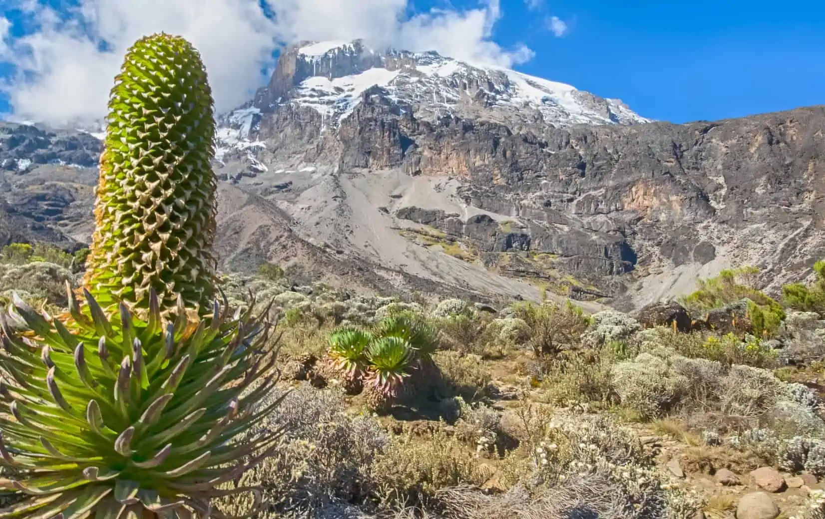 Things you must know before climbing Kilimanjaro